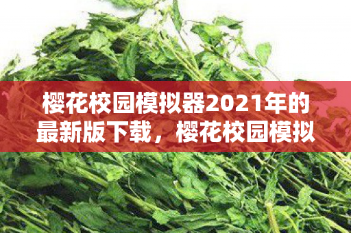 樱花校园模拟器2021年的最新版下载，樱花校园模拟器，2021年最新版的探索与体验