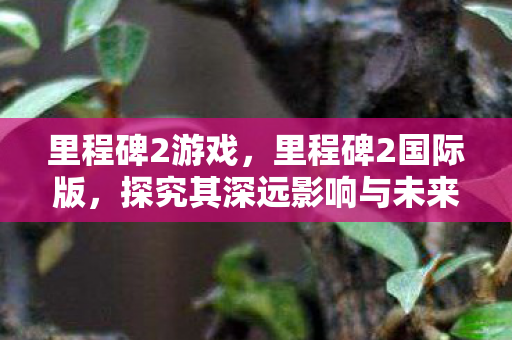 里程碑2游戏，里程碑2国际版，探究其深远影响与未来发展