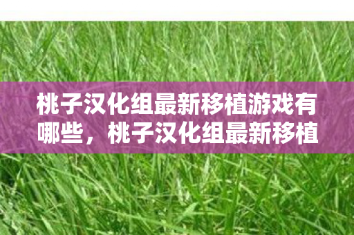 桃子汉化组最新移植游戏有哪些，桃子汉化组最新移植游戏，探索未知世界的神秘冒险之旅