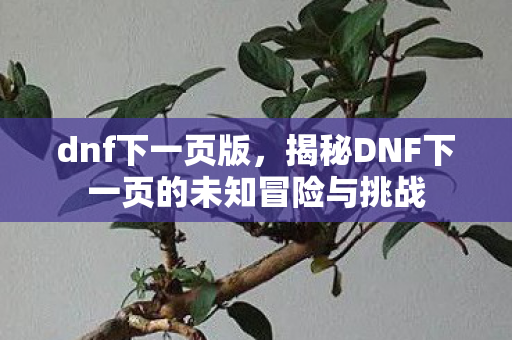 dnf下一页版，揭秘DNF下一页的未知冒险与挑战