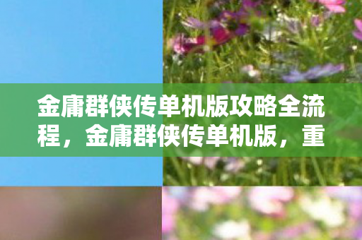 金庸群侠传单机版攻略全流程，金庸群侠传单机版，重温江湖经典，体验武侠魅力