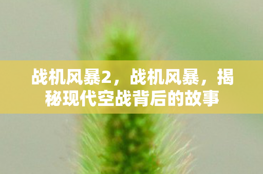 战机风暴2，战机风暴，揭秘现代空战背后的故事