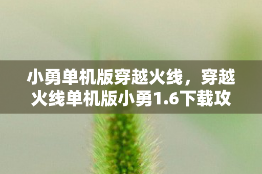 小勇单机版穿越火线，穿越火线单机版小勇1.6下载攻略及体验分享