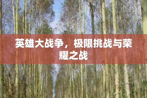 英雄大战争，极限挑战与荣耀之战