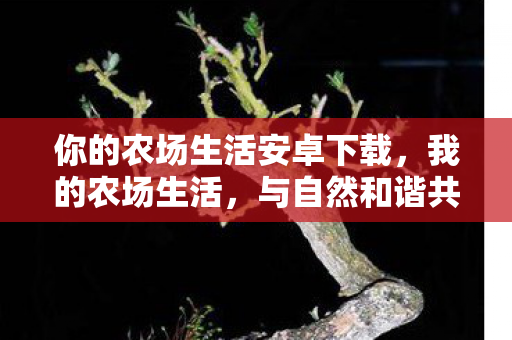 你的农场生活安卓下载，我的农场生活，与自然和谐共舞的日子