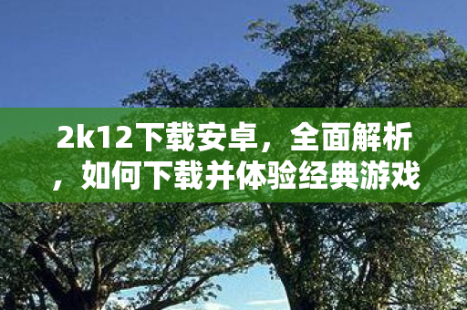 2k12下载安卓，全面解析，如何下载并体验经典游戏2K12