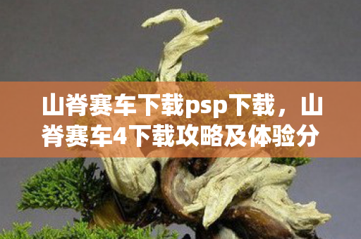 山脊赛车下载psp下载，山脊赛车4下载攻略及体验分享