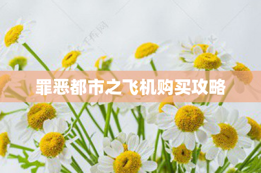 罪恶都市之飞机购买攻略