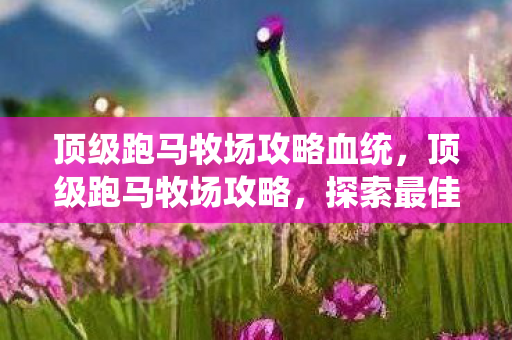 顶级跑马牧场攻略血统，顶级跑马牧场攻略，探索最佳体验之道