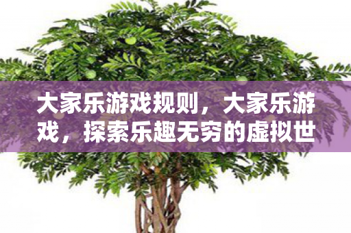 大家乐游戏规则，大家乐游戏，探索乐趣无穷的虚拟世界