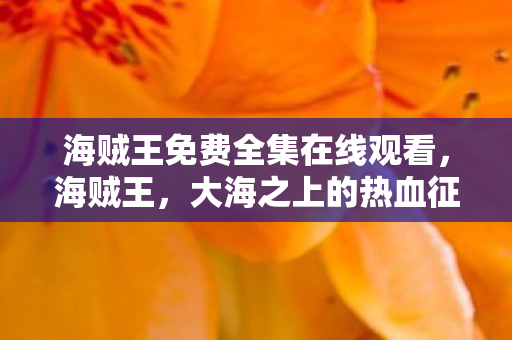 海贼王免费全集在线观看，海贼王，大海之上的热血征途