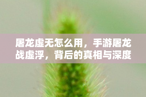 屠龙虚无怎么用，手游屠龙战虚浮，背后的真相与深度解析