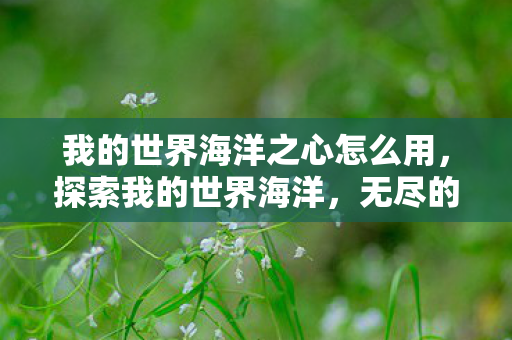 我的世界海洋之心怎么用，探索我的世界海洋，无尽的奥秘与财富