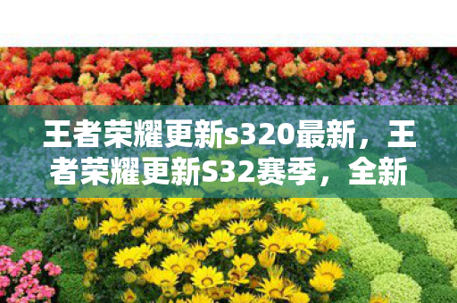 王者荣耀更新s320最新，王者荣耀更新S32赛季，全新变化与策略调整
