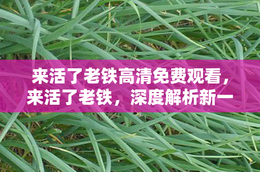 来活了老铁高清免费观看，来活了老铁，深度解析新一代职场挑战与应对策略