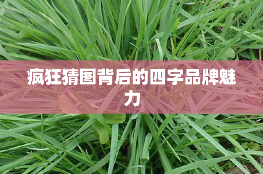 疯狂猜图背后的四字品牌魅力