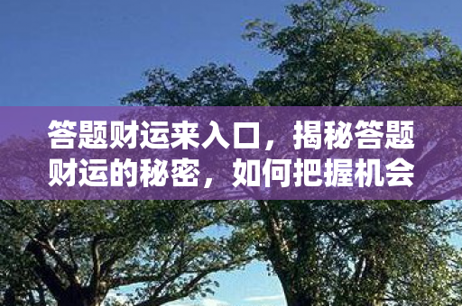 答题财运来入口，揭秘答题财运的秘密，如何把握机会，开启财富之门？