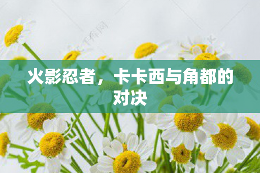 火影忍者，卡卡西与角都的对决