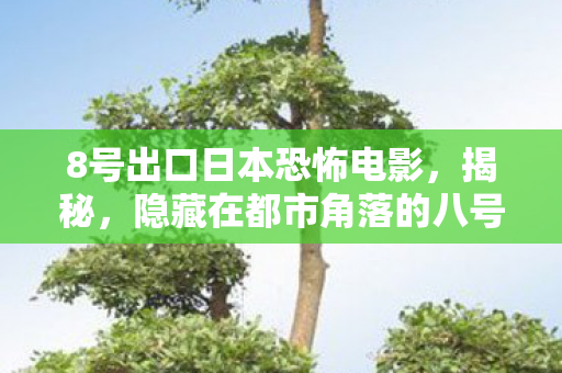 8号出口日本恐怖电影，揭秘，隐藏在都市角落的八号出口—一个充满故事与奇遇的角落