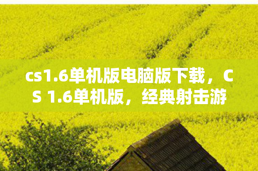 cs1.6单机版电脑版下载，CS 1.6单机版，经典射击游戏的重温与解析
