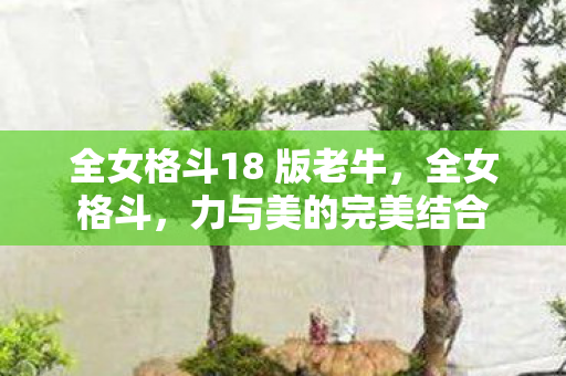 全女格斗18 版老牛，全女格斗，力与美的完美结合