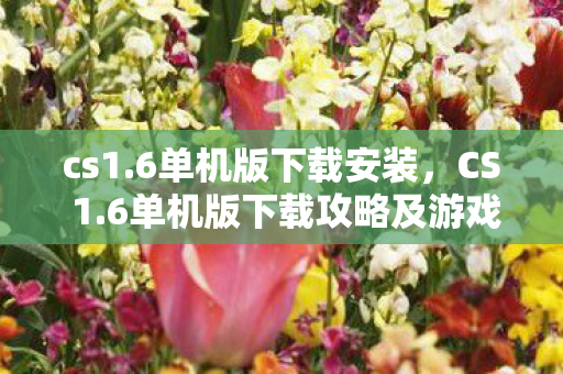 cs1.6单机版下载安装，CS 1.6单机版下载攻略及游戏体验