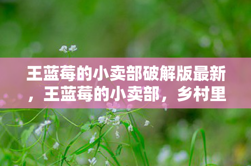 王蓝莓的小卖部破解版最新，王蓝莓的小卖部，乡村里的独特风味与创业故事