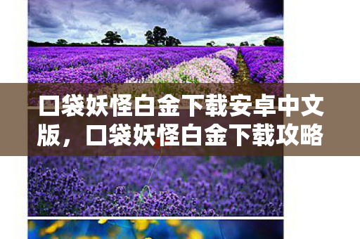 口袋妖怪白金下载安卓中文版，口袋妖怪白金下载攻略及游戏简介