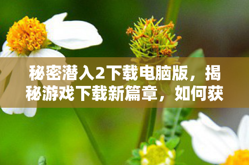 秘密潜入2下载电脑版，揭秘游戏下载新篇章，如何获取秘密潜入2游戏下载链接？