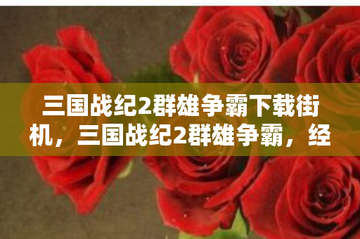 三国战纪2群雄争霸下载街机，三国战纪2群雄争霸，经典再现，策略之争的热血下载