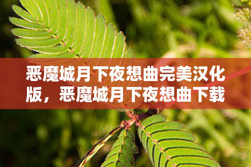 恶魔城月下夜想曲完美汉化版，恶魔城月下夜想曲下载攻略及游戏简介
