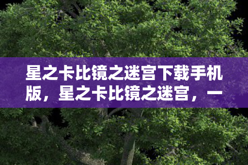 星之卡比镜之迷宫下载手机版，星之卡比镜之迷宫，一场梦幻冒险的下载之旅