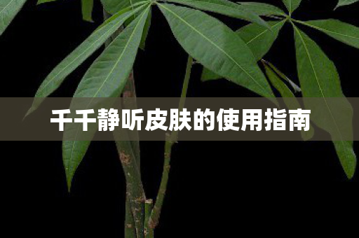 千千静听皮肤的使用指南