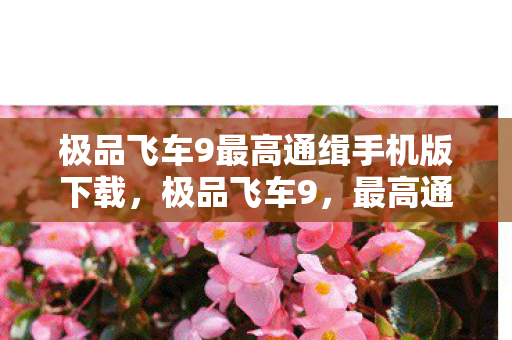 极品飞车9最高通缉手机版下载，极品飞车9，最高通缉—速度与激情的无尽追逐