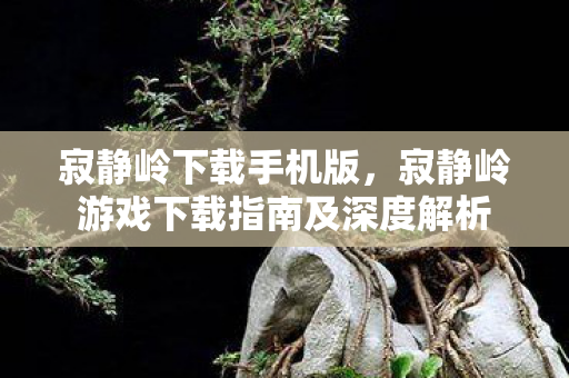 寂静岭下载手机版，寂静岭游戏下载指南及深度解析