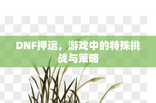 DNF押运，游戏中的特殊挑战与策略