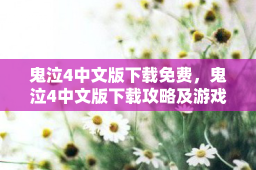 鬼泣4中文版下载免费，鬼泣4中文版下载攻略及游戏体验分享