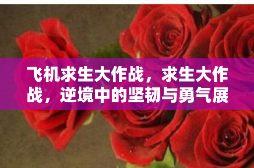 飞机求生大作战，求生大作战，逆境中的坚韧与勇气展现