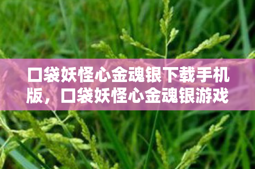 口袋妖怪心金魂银下载手机版，口袋妖怪心金魂银游戏下载全攻略