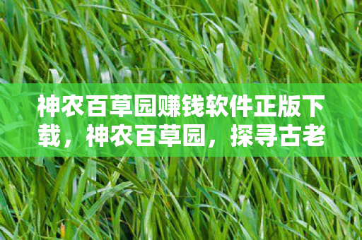 神农百草园赚钱软件正版下载，神农百草园，探寻古老草药的神秘世界