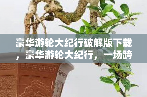 豪华游轮大纪行破解版下载，豪华游轮大纪行，一场跨越海洋的奢华之旅