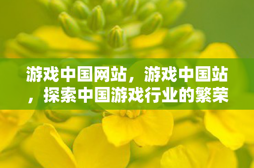 游戏中国网站，游戏中国站，探索中国游戏行业的繁荣与未来
