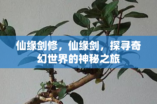 仙缘剑修，仙缘剑，探寻奇幻世界的神秘之旅