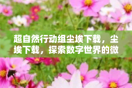 超自然行动组尘埃下载，尘埃下载，探索数字世界的微观奥秘