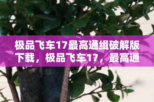 极品飞车17最高通缉破解版下载，极品飞车17，最高通缉—速度与激情的重燃