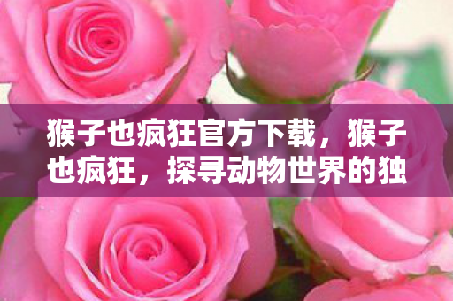 猴子也疯狂官方下载，猴子也疯狂，探寻动物世界的独特智慧与乐趣