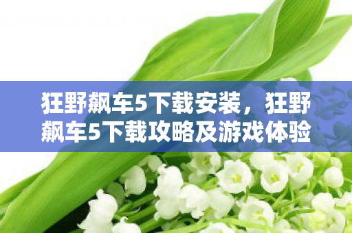 狂野飙车5下载安装，狂野飙车5下载攻略及游戏体验分享