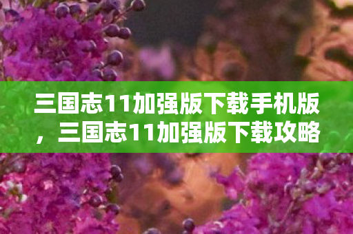 三国志11加强版下载手机版，三国志11加强版下载攻略及游戏初探