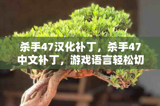 杀手47汉化补丁，杀手47中文补丁，游戏语言轻松切换的秘密武器