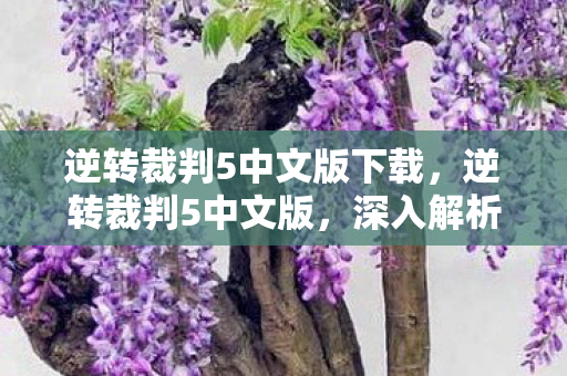 逆转裁判5中文版下载，逆转裁判5中文版，深入解析与游戏体验